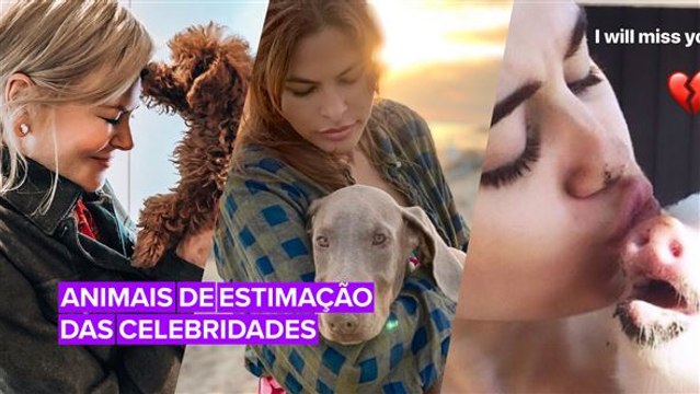 Animais de estimação são amados por todos