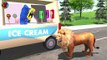 Learn Ice Cream Colors With Animals Names And Sounds For Childrens ## || lion tiger bear panda gorilla