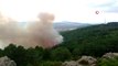 İstanbul Valiliğinden Aydos Ormanı'ndaki yangına ilişkin açıklama