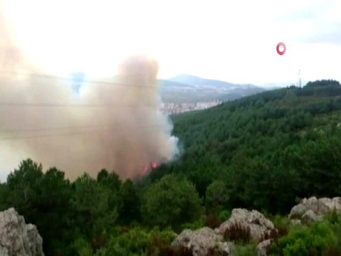İstanbul Valiliğinden, Aydos Ormanındaki yangına ilişkin açıklama