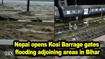 Nepal opens Kosi Barrage gates flooding adjoining areas in Bihar