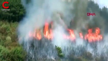 "Aydos'taki orman yangınını 2 çocuk çıkardı"