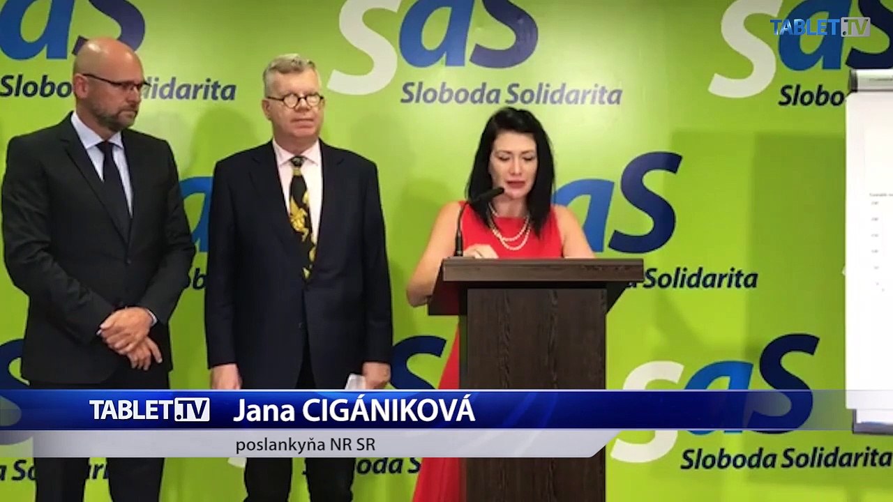ZÁZNAM: TK strany Sloboda a Solidarita