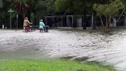 Tropensturm "Barry" verschont US-Bundesstaat Louisiana von befürchteten Schäden