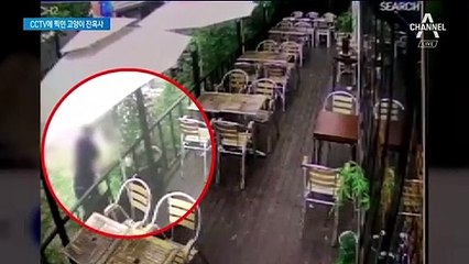 고양이 패대기치고 잔혹 살해…CCTV 속 남성 추적 중