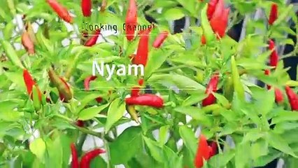 북구출장안마 -후불100%ョØ1ØE2659E1768｛카톡SN92｝ 북구전지역출장안마 북구오피걸 북구출장마사지 북구안마 북구출장마사지 북구콜걸샵ĦĲĿ