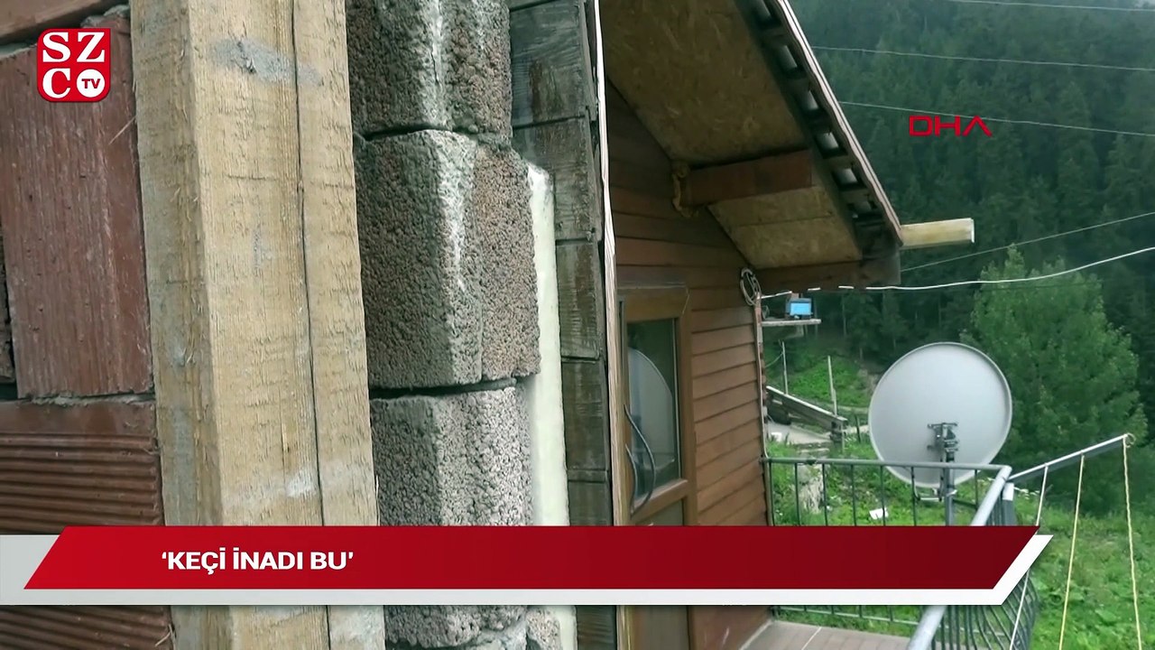 Baba evini motorlu testere ile ikiye bölen kardeşlerin inadı