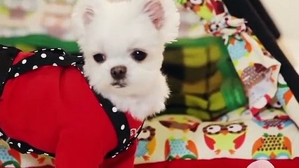 창원출장안마 -후불100%ョØ1ØS2671S8135｛카톡AQ52｝ 창원전지역출장안마 창원오피걸 창원출장마사지 창원안마 창원출장마사지 창원콜걸샵ЛМН