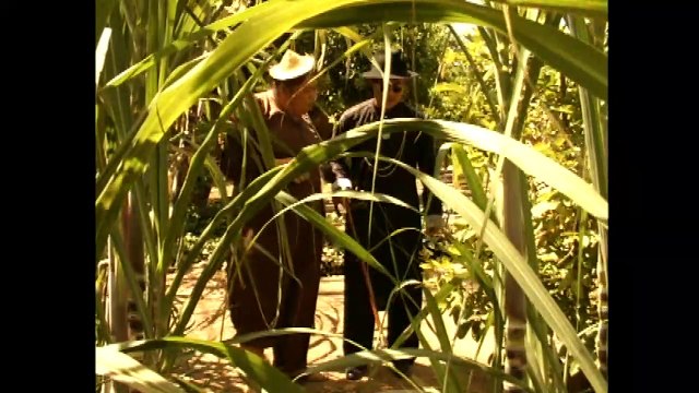 Video - Hài kịch HẮC BẠCH CÔNG TỬ (Vân Sơn - Hoài Linh - Hồng Đào - Pé mập - Út mập)