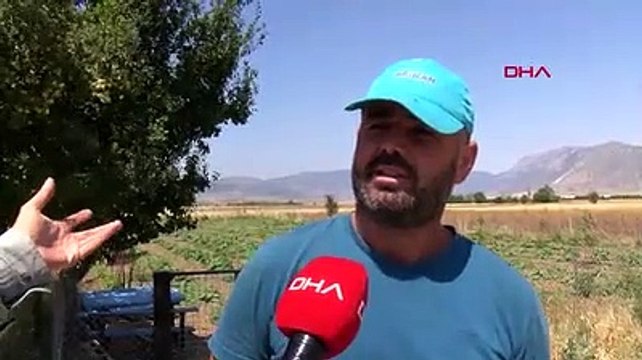 Flamingoların gölü kurudu