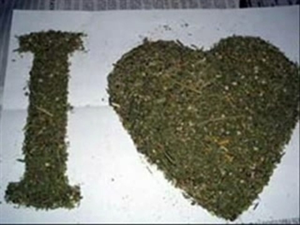 Ganja