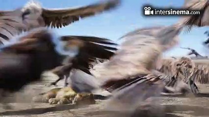 Aslan Kral - Fragman