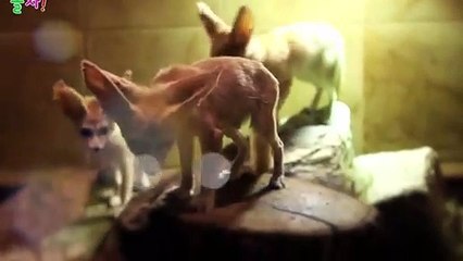 충주출장안마 -후불100%ョØ1ØE6814E3375｛카톡NS95｝ 충주전지역출장안마 충주오피걸 충주출장마사지 충주안마 충주출장마사지 충주콜걸샵ωÆÐ