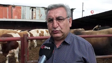 Kurbanlıklarda 2018'e oranla kilogram başına 1 liralık artış oldu