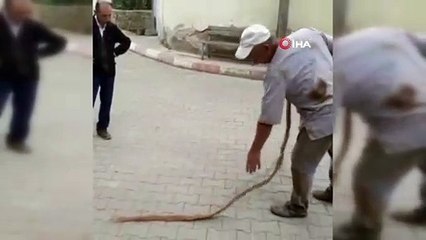 İçme suyu borusundan çıkan 9 metrelik ağaç kökü şaşırttı