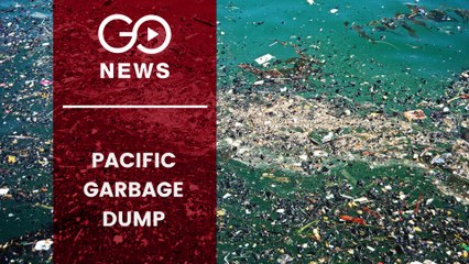 Plastic Plague In Oceans