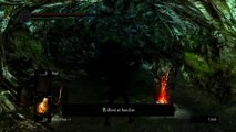 Dark Souls: Daughters of Ash [10] Anticlimax