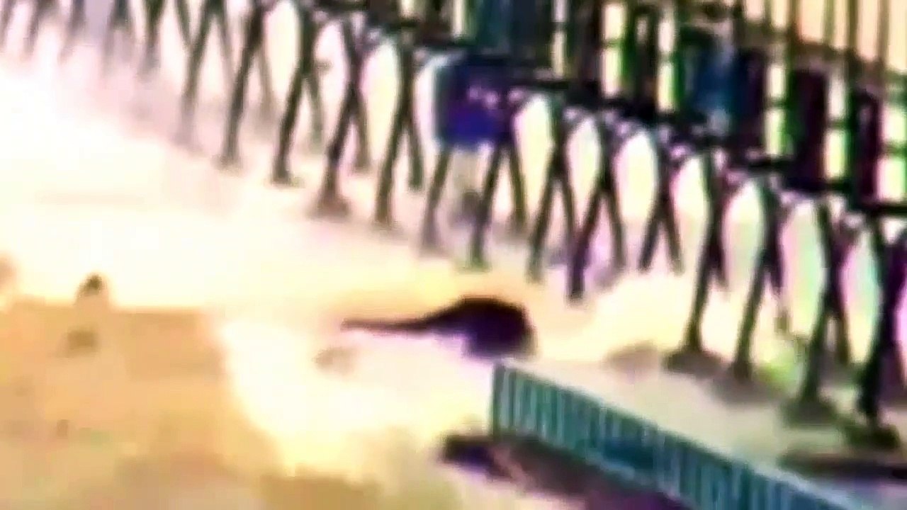 Aparece una Misteriosa CRIATURA en el lago MICHIGAN