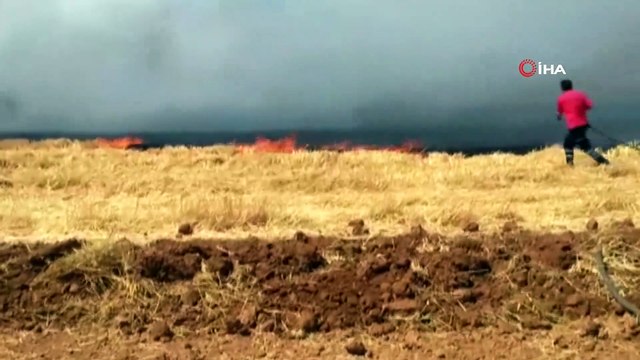 Suriye sınırındaki anız yangını korkuttu