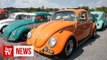 Beetle owners celebrate world’s favourite Bug
