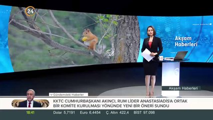 Kayısı yiyen sincaplar görenleri şaşırttı
