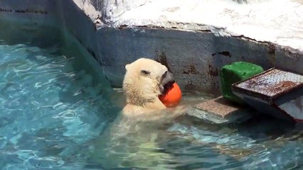 凍った地域への恐れは私です