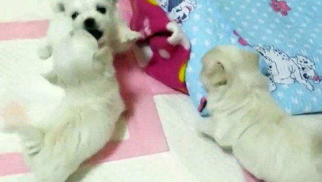 마산출장아로마≑마산출장안마 -후불100%ョØ7ØS7301S9649｛카톡ZF66｝ 마산전지역출장안마 마산오피걸 마산출장마사지 마산안마 마산출장마사지 마산콜걸샵ヨラリ