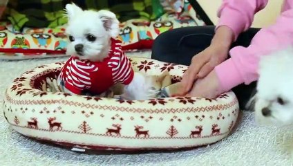 남동출장안마 -후불100%ョØ7ØS7301S9649｛카톡MOK66} 남동전지역출장안마 남동오피걸 남동출장마사지 남동안마 남동출장마사지 남동콜걸샵§∥∏