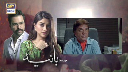 Hania Epi 20 _ 13th July 2019 _ ARY Digital Drama