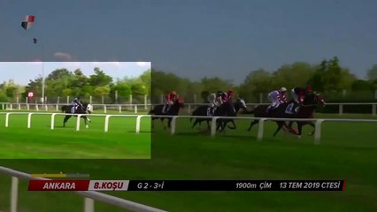 Yarış esnasında sakatlanan 'Oğlum Berat' uyutuldu