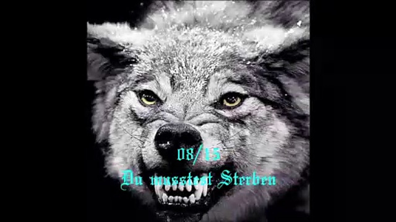 0815 - Du musstest Sterben