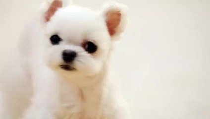 상무출장안마 -후불100%ョØ7ØA7575A0069｛카톡CC6969｝ 상무전지역출장안마 상무오피걸 상무출장마사지 상무안마 상무출장마사지 상무콜걸샵æđð