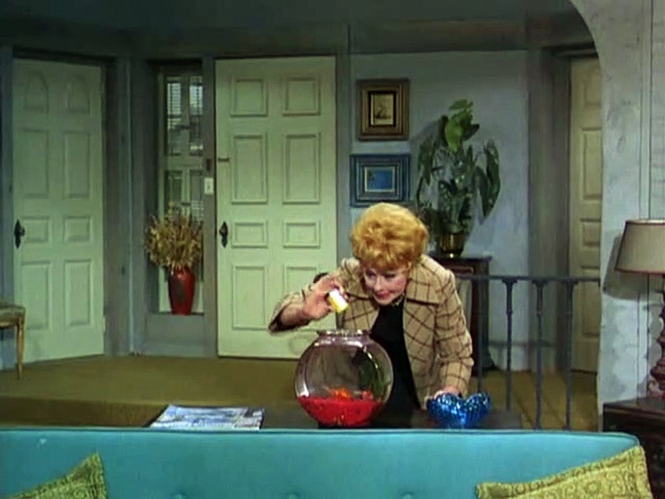 The Lucy Show: Lucy and The Stolen Stole