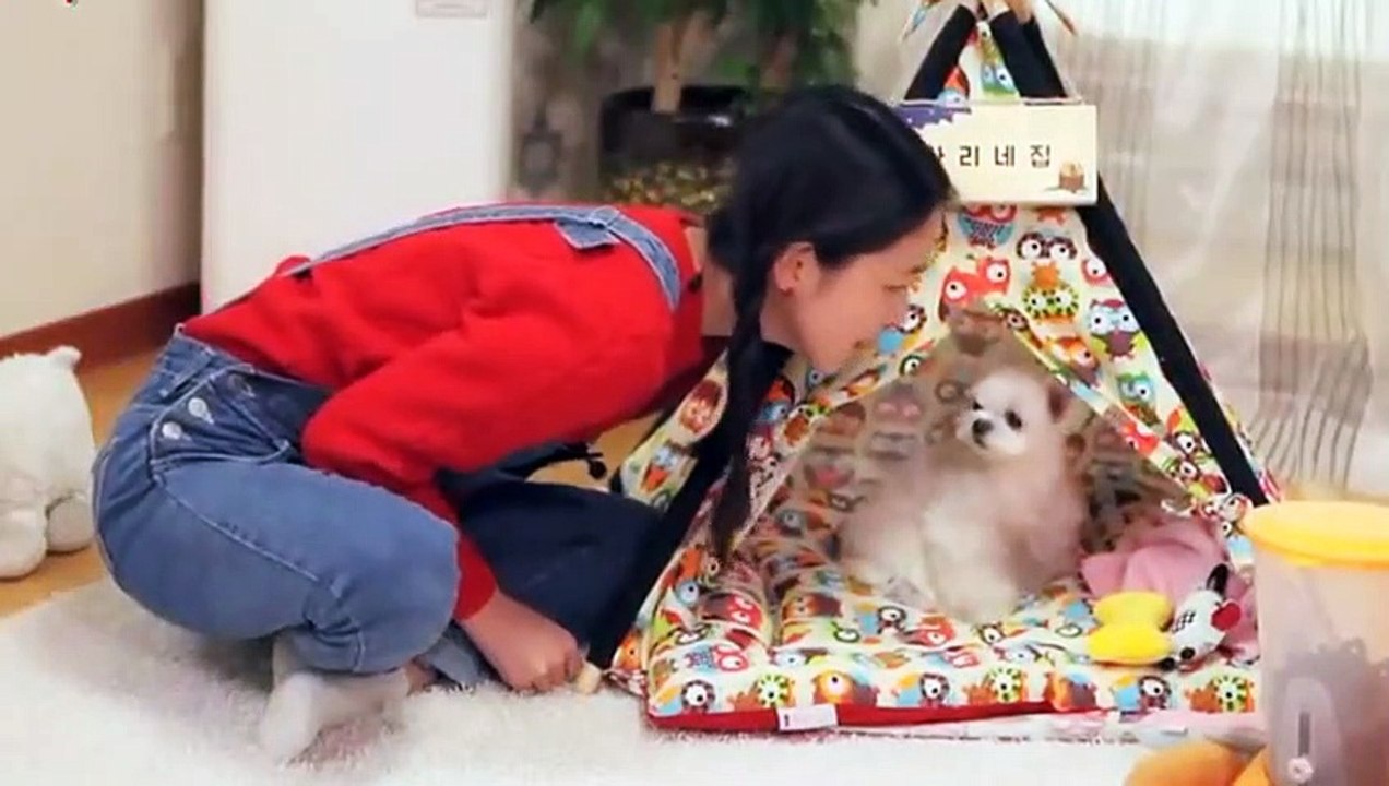 포천출장안마 -후불100%ョØ1ØS2671S8135｛카톡ZHF526｝ 포천전지역출장안마 포천오피걸 포천출장마사지 포천안마 포천출장마사지 포천콜걸샵※≒℃
