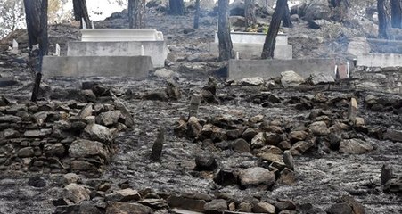 Muğla'daki kabusa dönen yangın söndürüldü! İşte geriye kalan görüntü