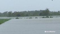Levee overtopped by flooding from Hurricane Barry