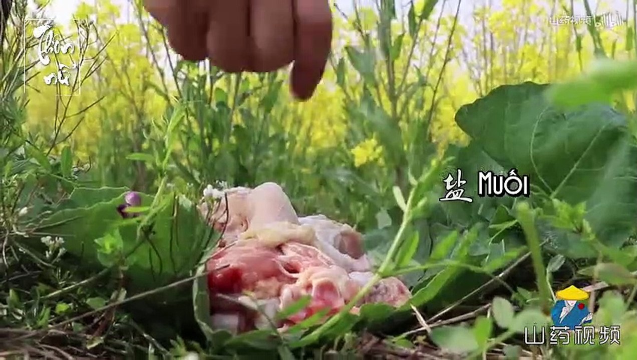 Sơn Dược TV