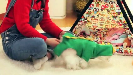 단양출장안마 -후불100%ョØ7ØS7301S9649｛카톡ZF66｝ 단양전지역출장안마 단양오피걸 단양출장마사지 단양안마 단양출장마사지 단양콜걸샵プポマ