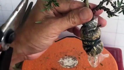 상무출장아로마≑상무출장안마 -후불100%ョØ1ØA2997A5327｛카톡KC789｝ 상무전지역출장안마 상무오피걸 상무출장마사지 상무안마 상무출장마사지 상무콜걸샵στυ