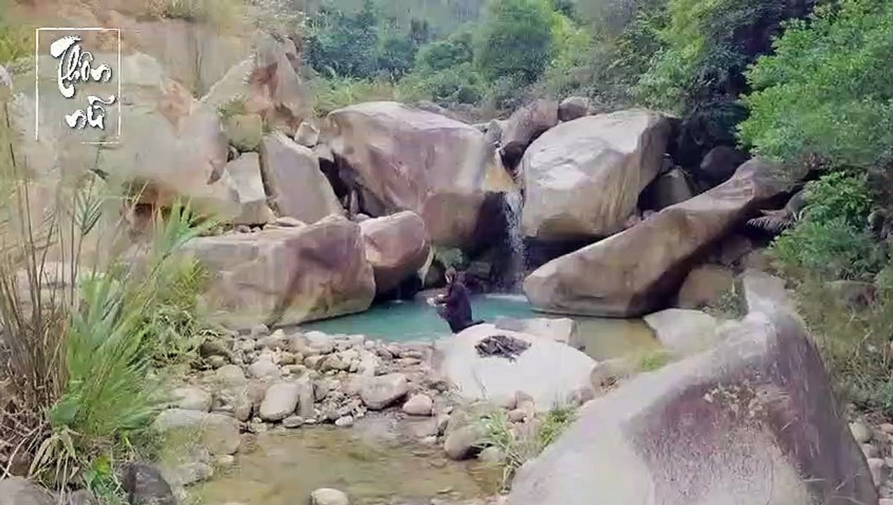 Trưởng quầy Lý