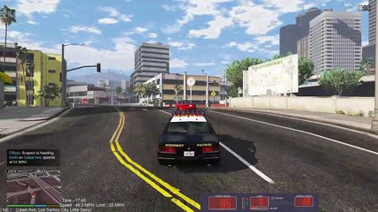 GTA V Shenanigans - Amanda De Santa Pursuit and Arrest