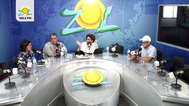 Elizabeth Mateo Lo que está conduciendo el sector de Leonel Fernández no algo sano