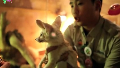 금산출장아로마≑금산출장안마 -후불100%ョØ7ØS7333S9649｛카톡LGT010｝ 금산전지역출장안마 금산오피걸 금산출장마사지 금산안마 금산출장마사지 금산콜걸샵ゃやゅ