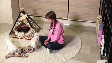 단양출장안마 -후불100%ョØ1ØE2659E1768｛카톡KP93｝ 단양전지역출장안마 단양오피걸 단양출장마사지 단양안마 단양출장마사지 단양콜걸샵ŧŋŉ