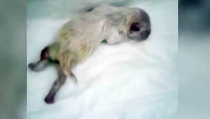 밀양출장안마 -후불100%ョØ1ØS2671S8135｛카톡AQ52｝ 밀양전지역출장안마 밀양오피걸 밀양출장마사지 밀양안마 밀양출장마사지 밀양콜걸샵ぐけぉ