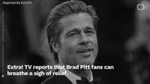 Hollywood Abuzz With Rumors That Brad Pitt Is Quitting Acting To Become Beekeepr