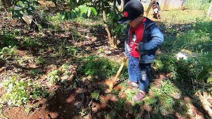 How to catch a scorpion _ Bắt bọ cạp trong lỗ rất dễ _ Win - Bảo Nguyên