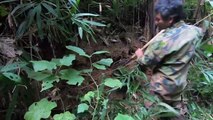 Harvesting Honey in Forest at Dak Nong, Viet Nam _ Win - Bao Nguyen