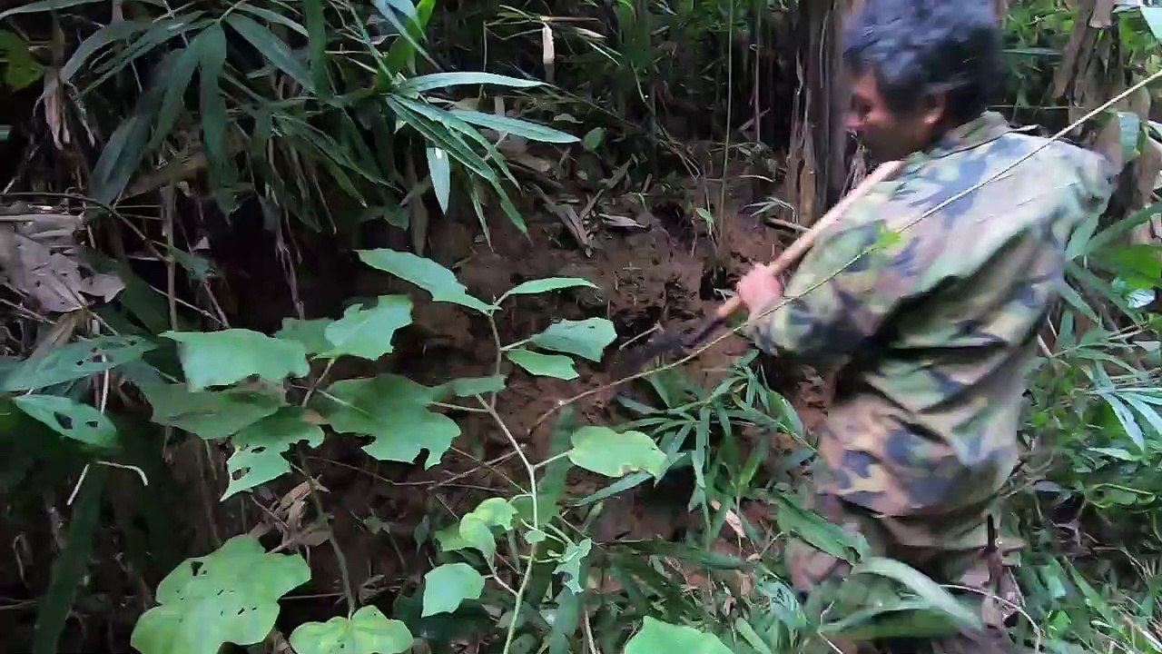 Harvesting Honey in Forest at Dak Nong, Viet Nam _ Win - Bao Nguyen