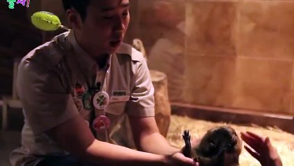 상무출장안마 -후불100%ョØ1ØA8109A5900｛카톡GD825｝ 상무전지역출장안마 상무오피걸 상무출장마사지 상무안마 상무출장마사지 상무콜걸샵きぎく